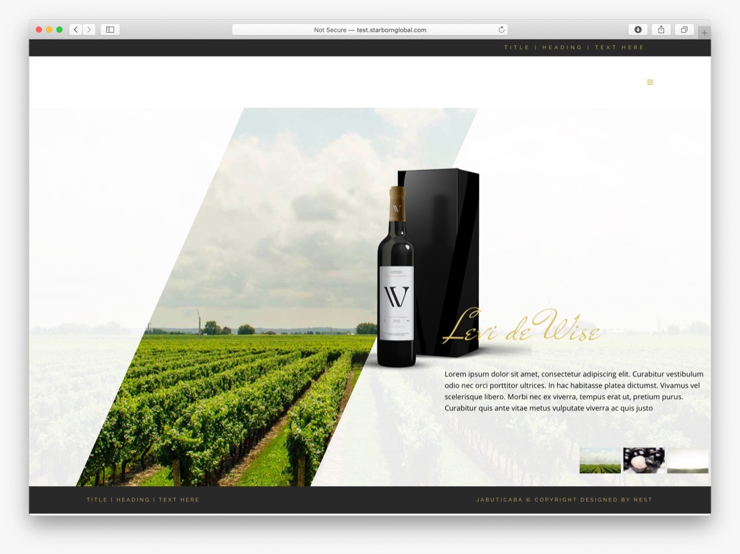 jacabutica web design